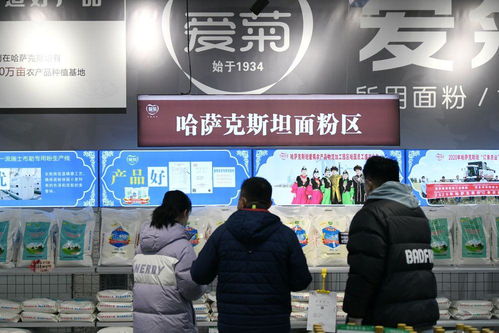 鏡觀·回響 中哈物流十年見證——西行東進，互聯互通下的貨物與技術進出口新篇章